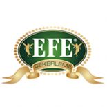 Efe Şekerleme Sanayi